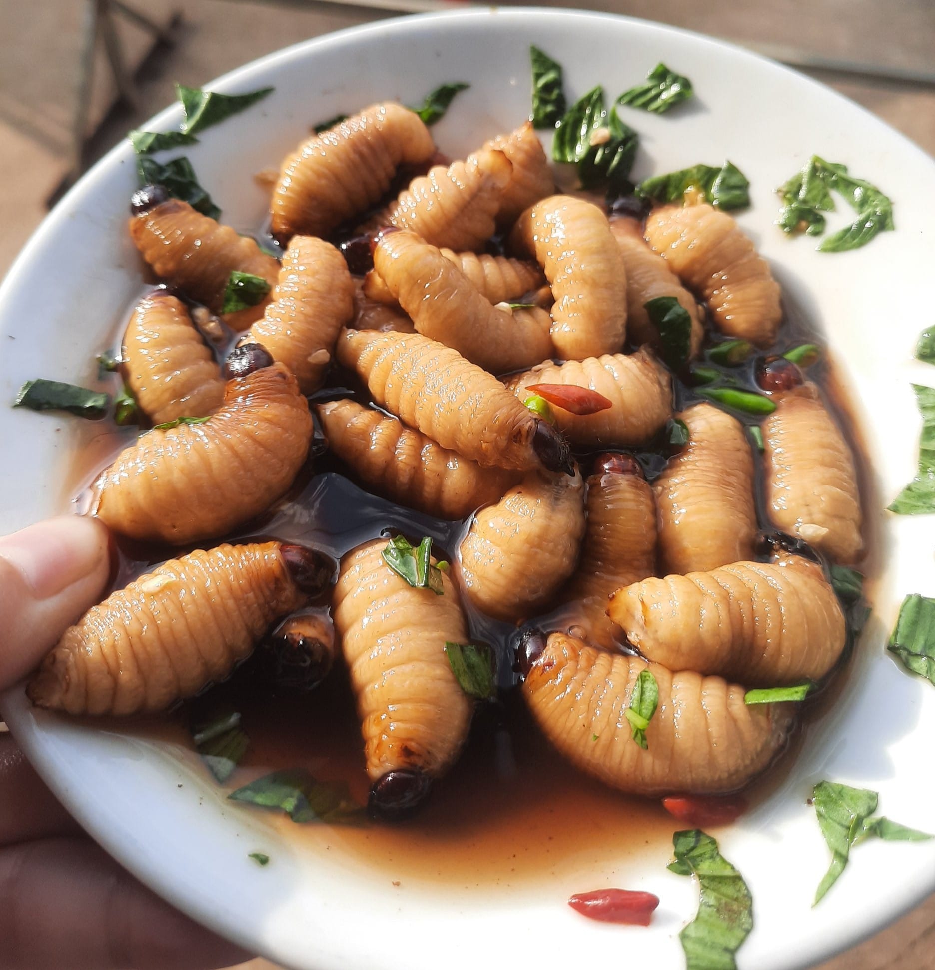 đuông dừa