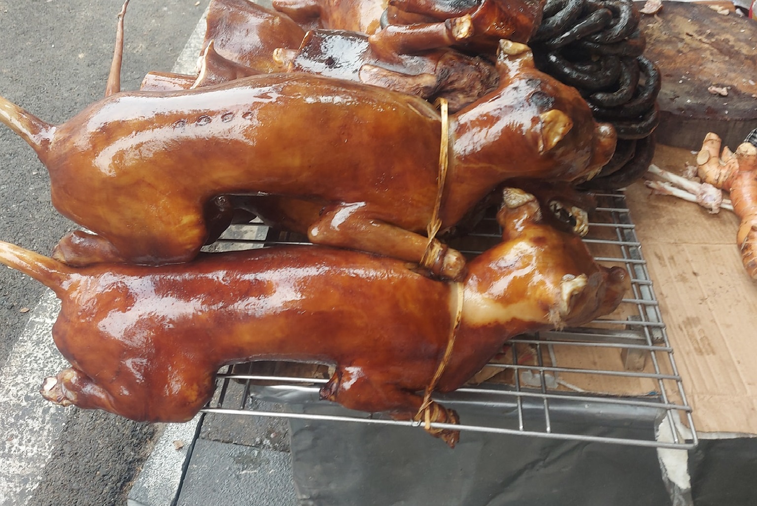 thịt chó